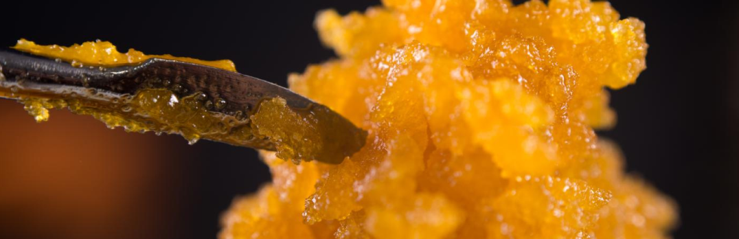 A close up of a person holding a piece of food.
