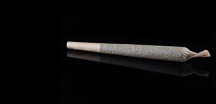cannabis joint