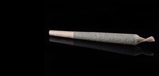 cannabis joint