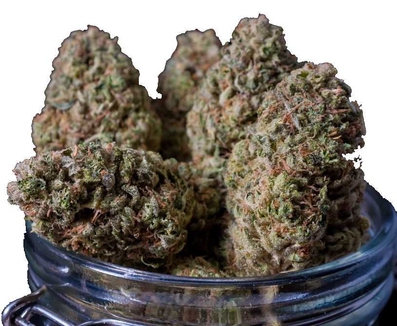 Close-up of cannabis buds in a glass jar