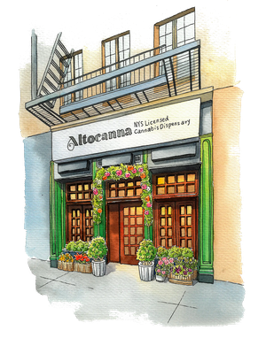 Illustrated storefront with a green facade, wooden windows, flower boxes, and a sign above the entrance.