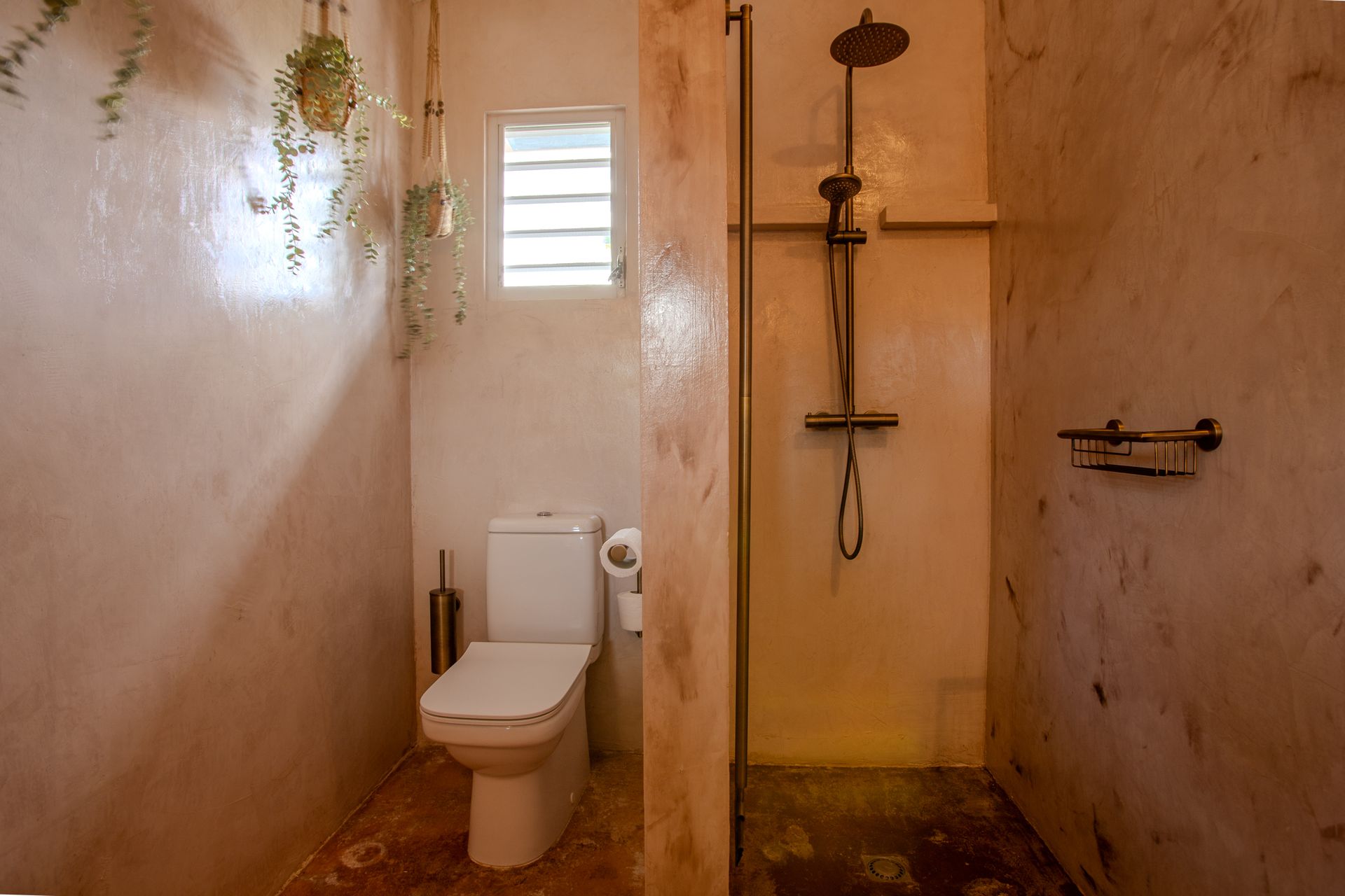 Rustieke badkamer met toilet, douche en hangplanten. Lichtbruine muren, betonnen vloer en een klein raam.
