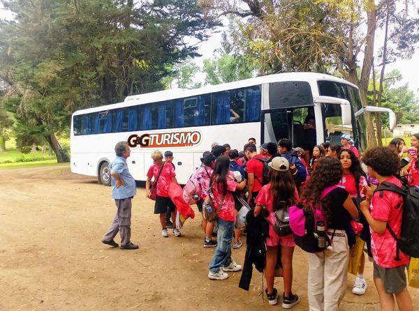 Servicio de chárter