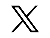 A black and white image of a letter x on a white background.