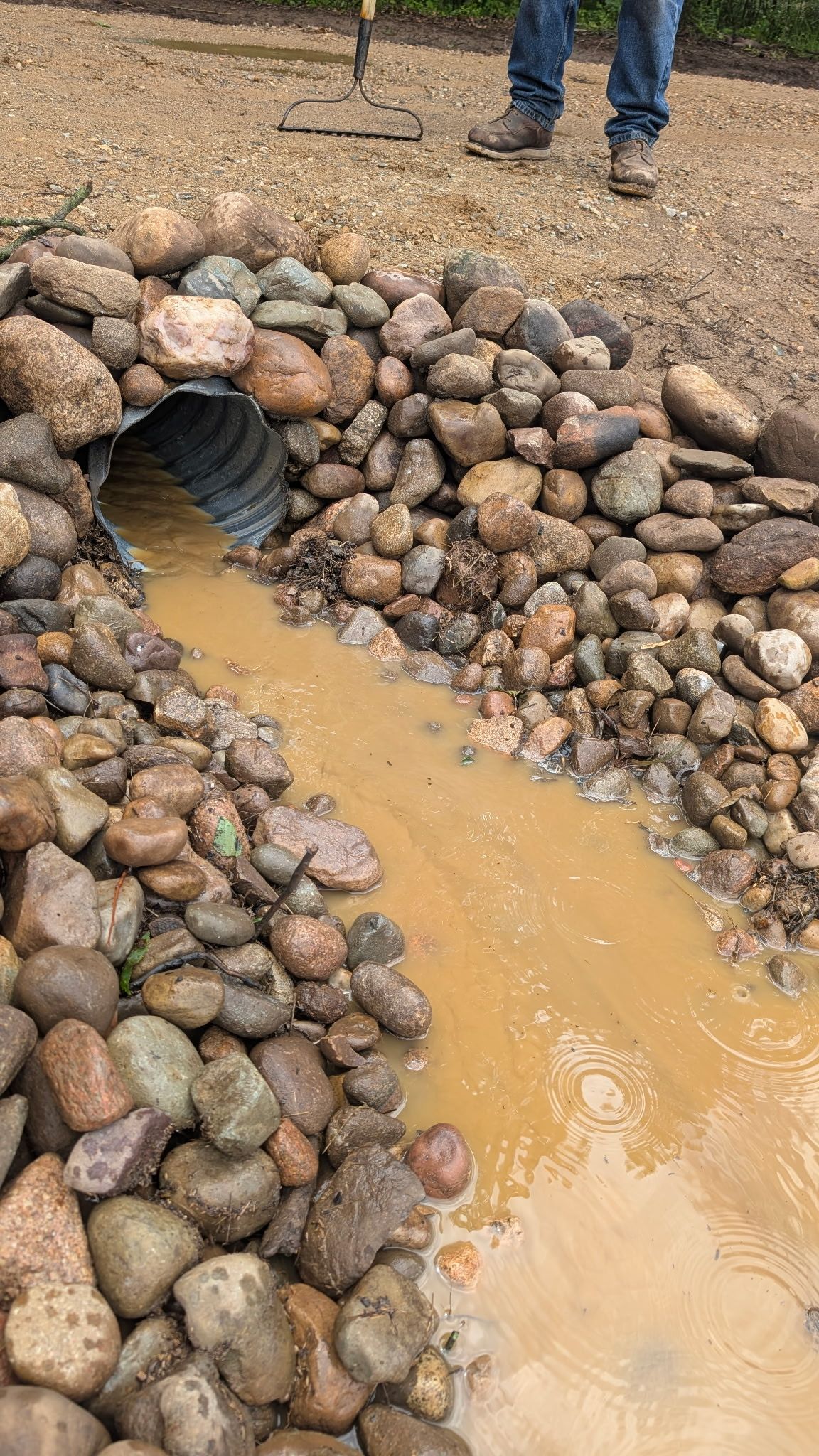 Muddy runoff flowing through rocks into a culvert, with two people standing nearby on gravel.