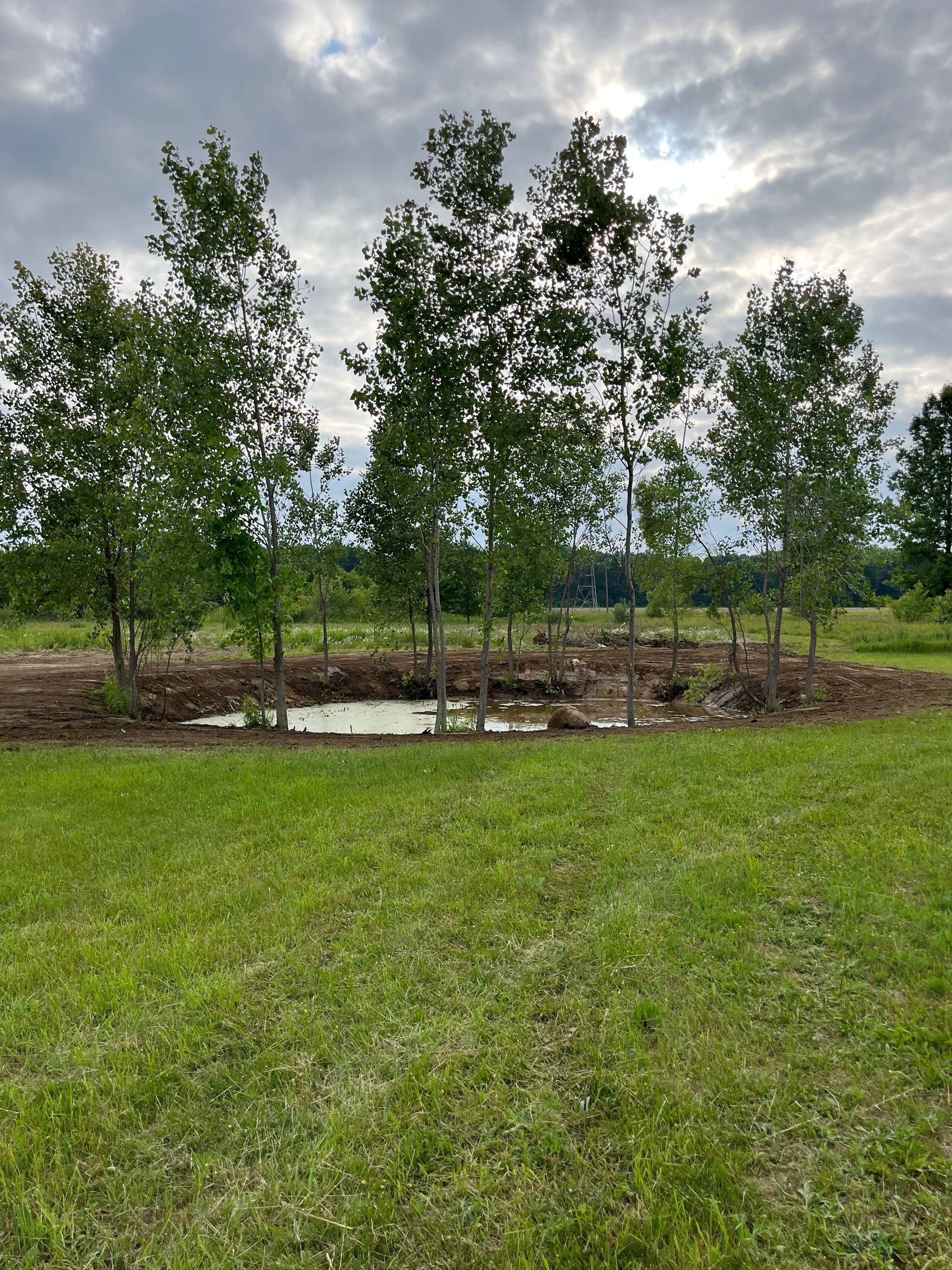 Young trees beside a small pond in a grassy field under a cloudy sky