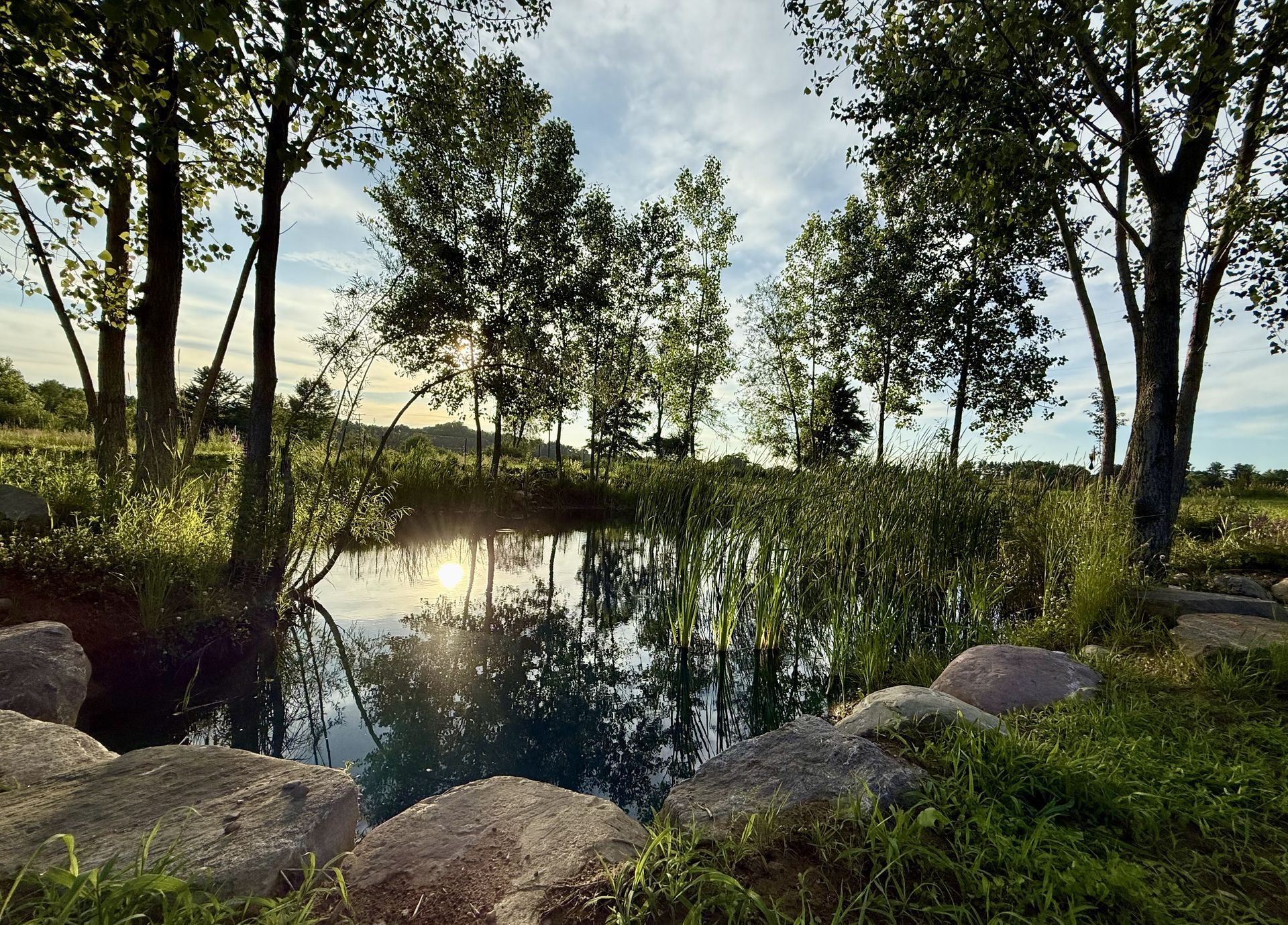 Sunlit pond surrounded by trees and rocks, with reflections on the water and grassy shoreline