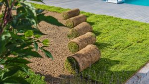 Stone garden path lined with colorful flowers and greenery leading to an archway