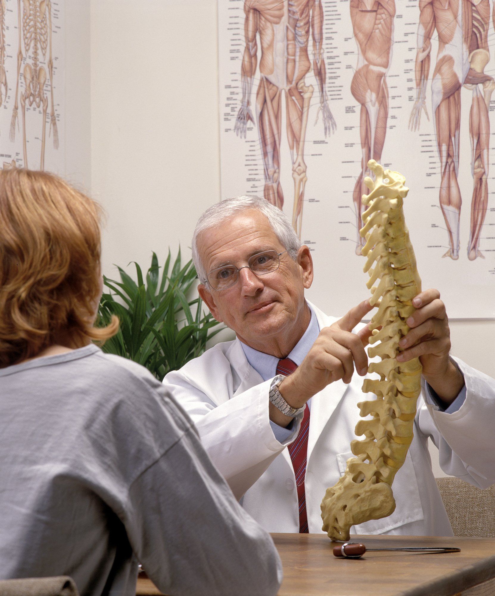 see a chiropractor