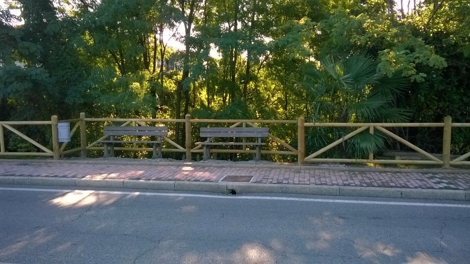 Recinzione di legno e panchine a bordo strada, di fronte a fitti alberi verdi, immerse in una calda luce solare.