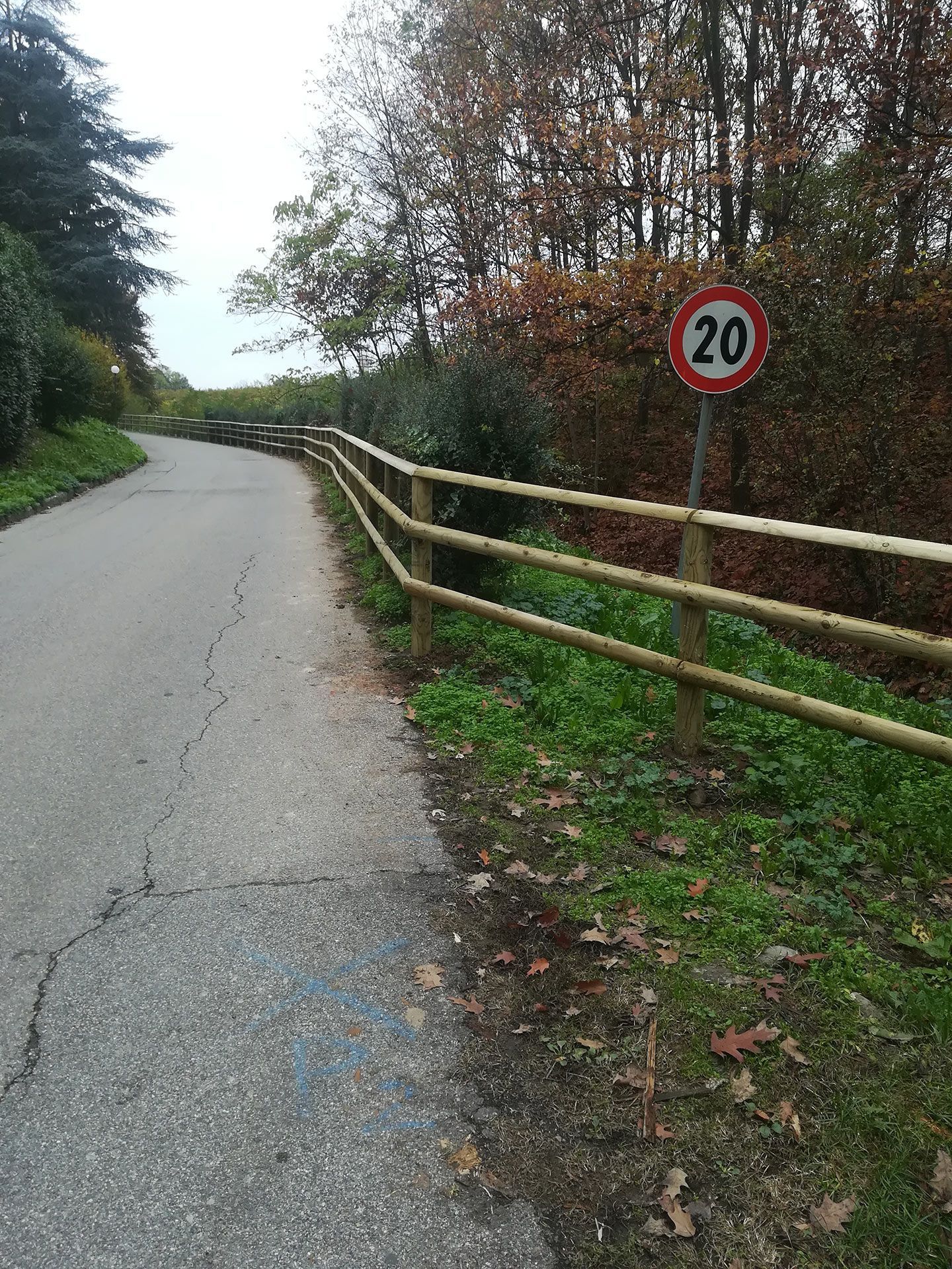 Strada rurale tortuosa, costeggiata da una staccionata di legno e da un cartello che indica il limite di velocità di 20 km/h in una giornata nuvolosa.