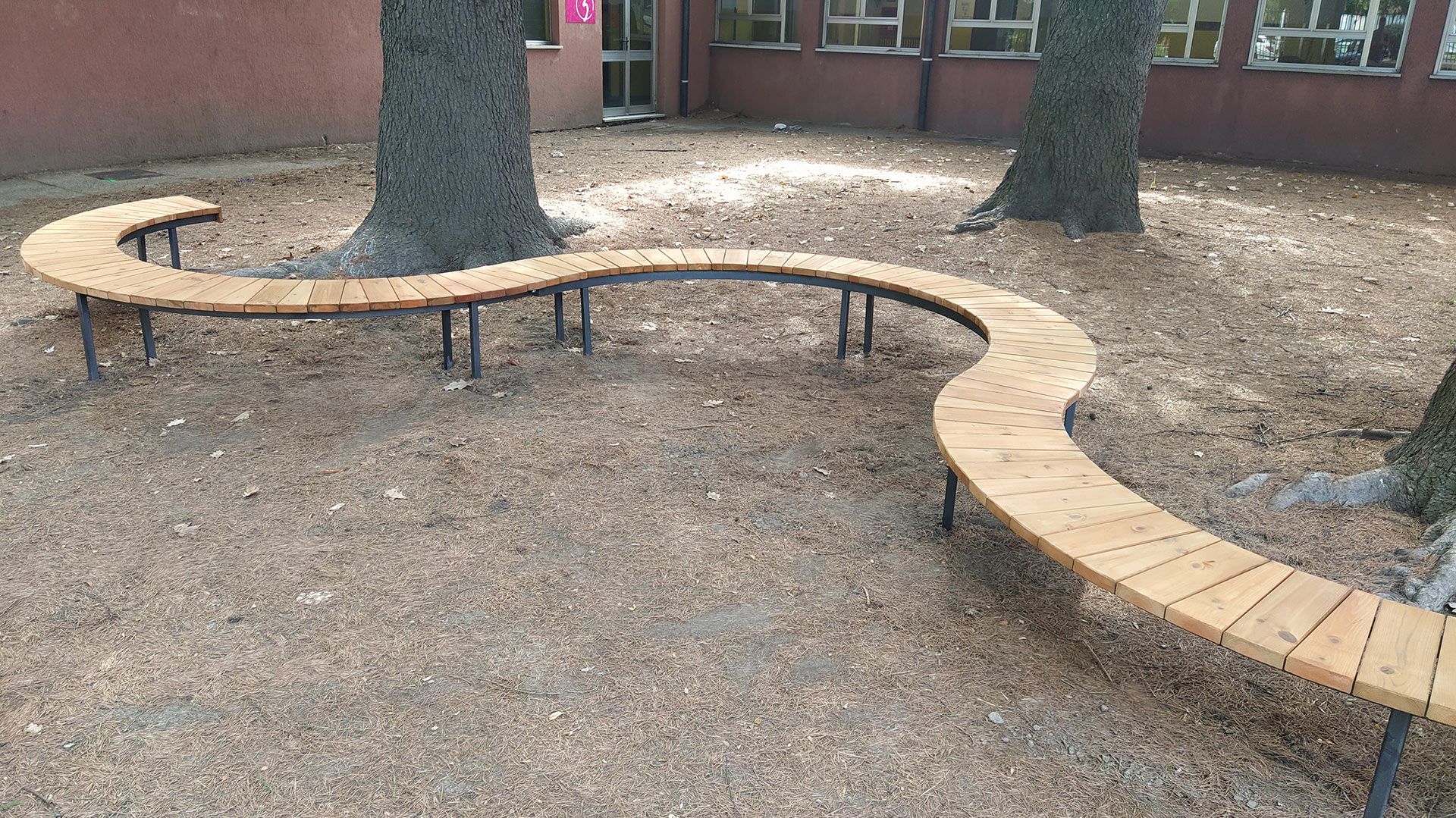 Panchina di legno curva che circonda i tronchi degli alberi in un cortile con terreno sterrato e un edificio in mattoni sullo sfondo.