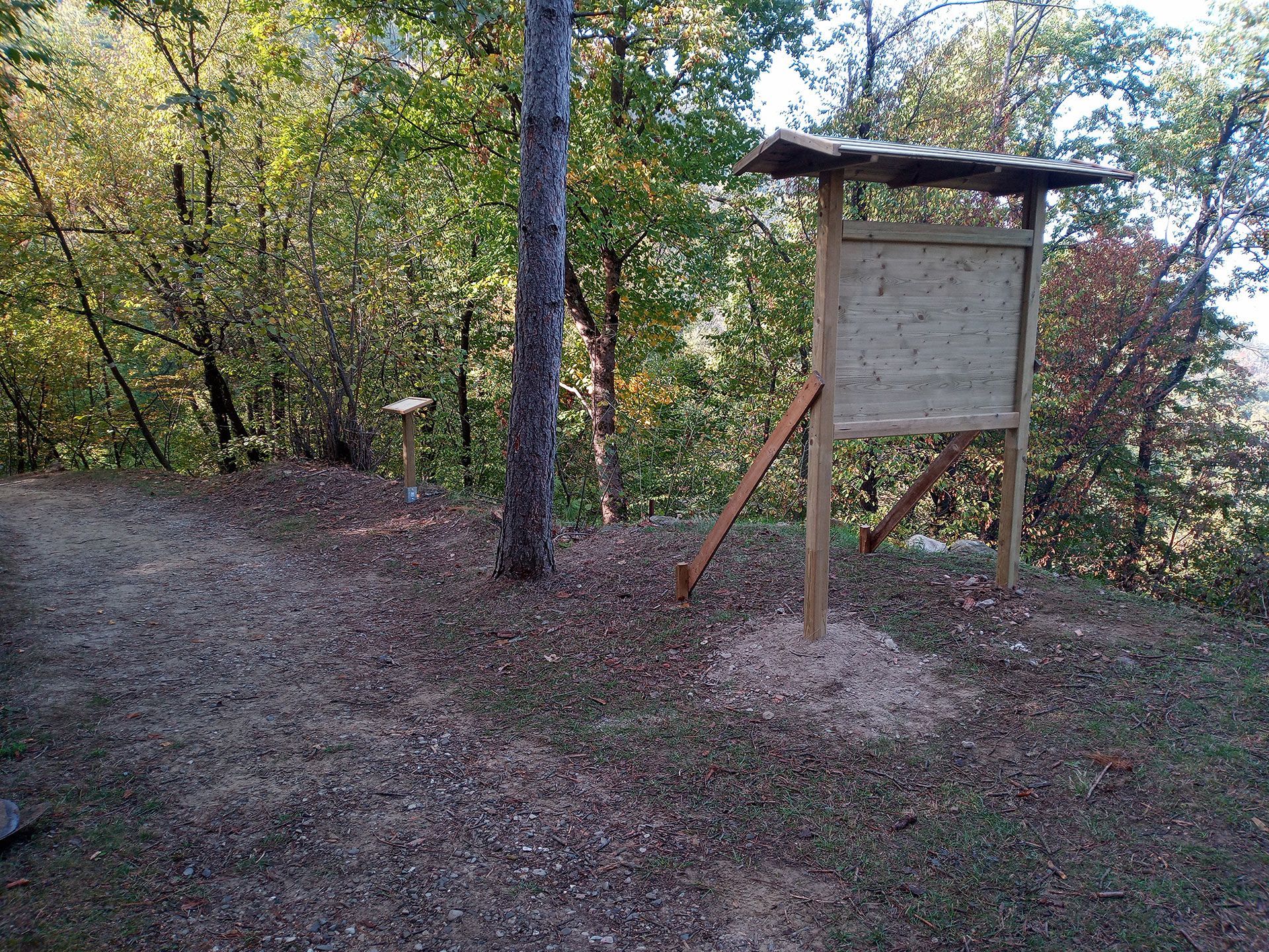 Cartello di un sentiero boschivo in una radura sterrata tra alberi e fogliame autunnale.