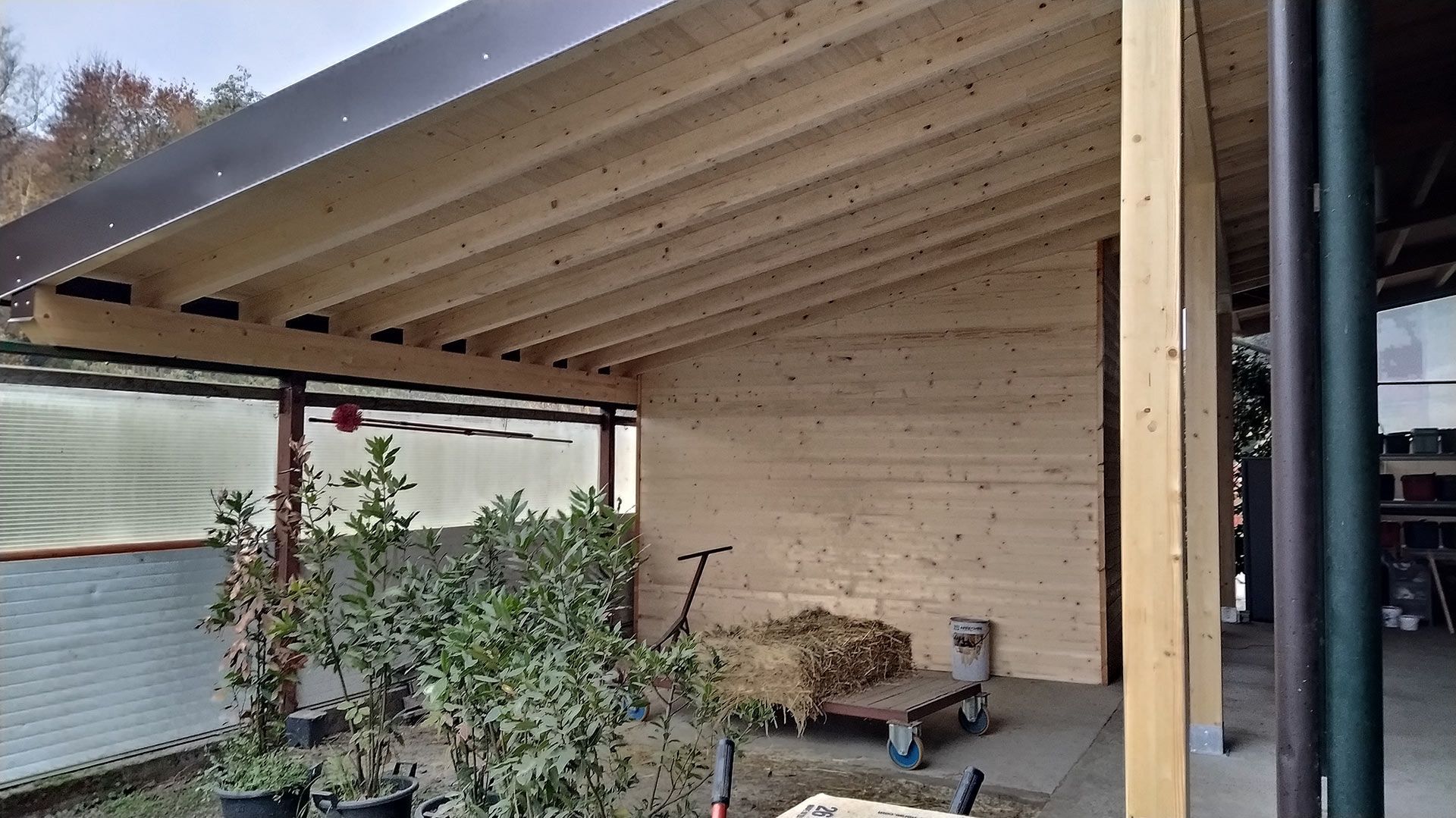 Patio esterno in legno con tetto spiovente, pali, piante e un capanno accanto.