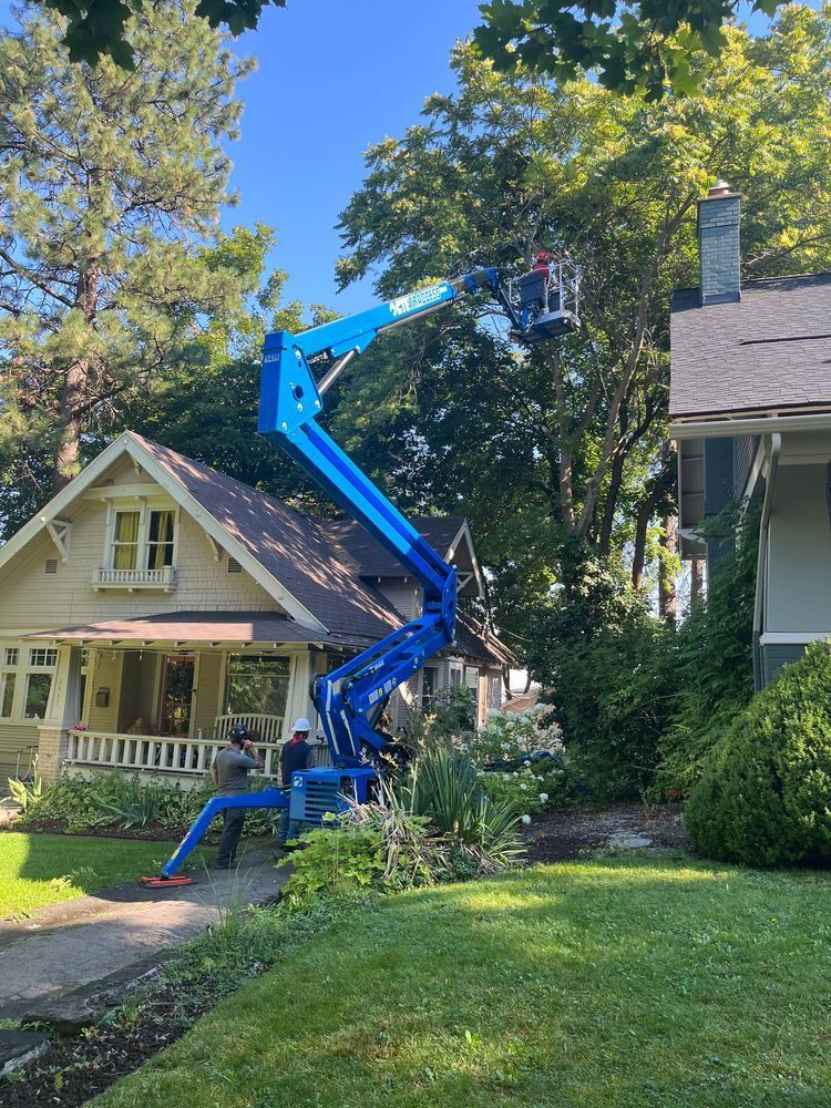 CTE Traccess 88 removing trees between houses