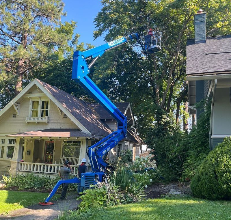 tree service operator setting up a CTE Traccess tracked lift before a backyard removal