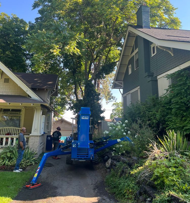 Tracked aerial lift reaching a backyard tree a bucket truck at the curb can't access