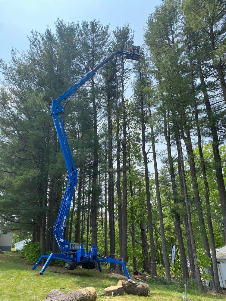Traccess 270-88 in a forest