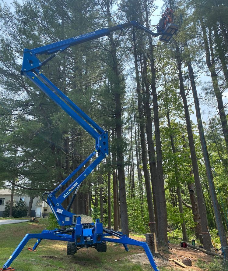 CTE Traccess 270 tracked aerial lift extended 88 feet into a mature tree canopy