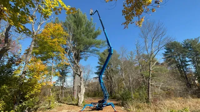 tree company aerial lift equipment