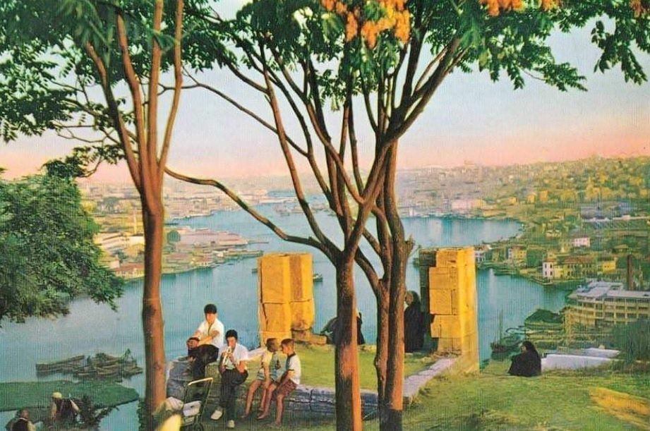 A group of people sitting under trees overlooking a body of water