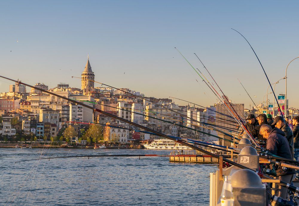 A group of people are fishing in the water with a city in the background.