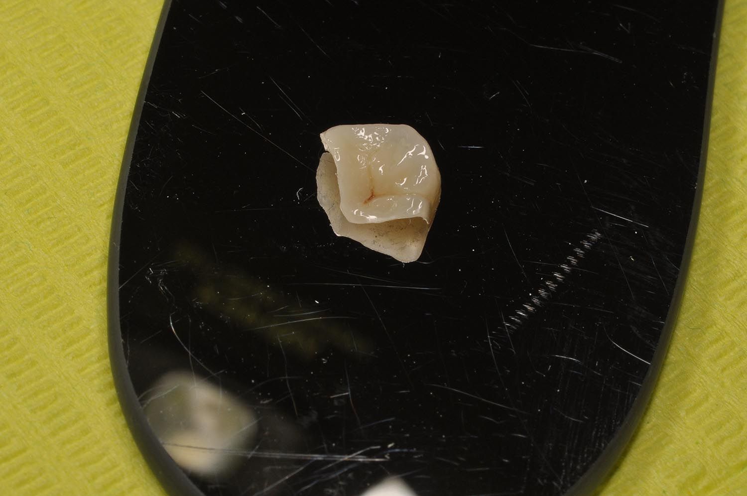 Piccolo frammento di roccia beige su una superficie nera riflettente con sfondo giallo.