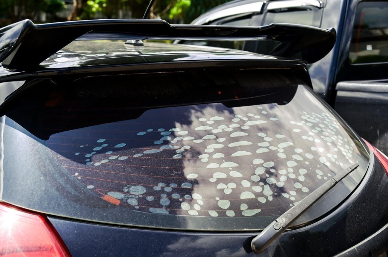 mistakes in window tinting