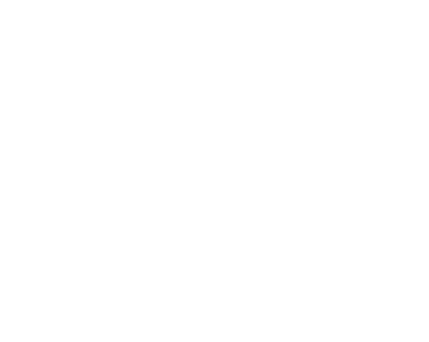 Risk Free Flips Logo