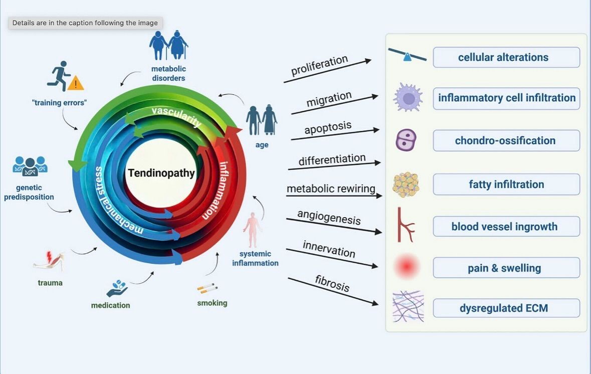 Diagram of osteopathy effects, with benefits like pain relief, inflammation reduction, and better mobility