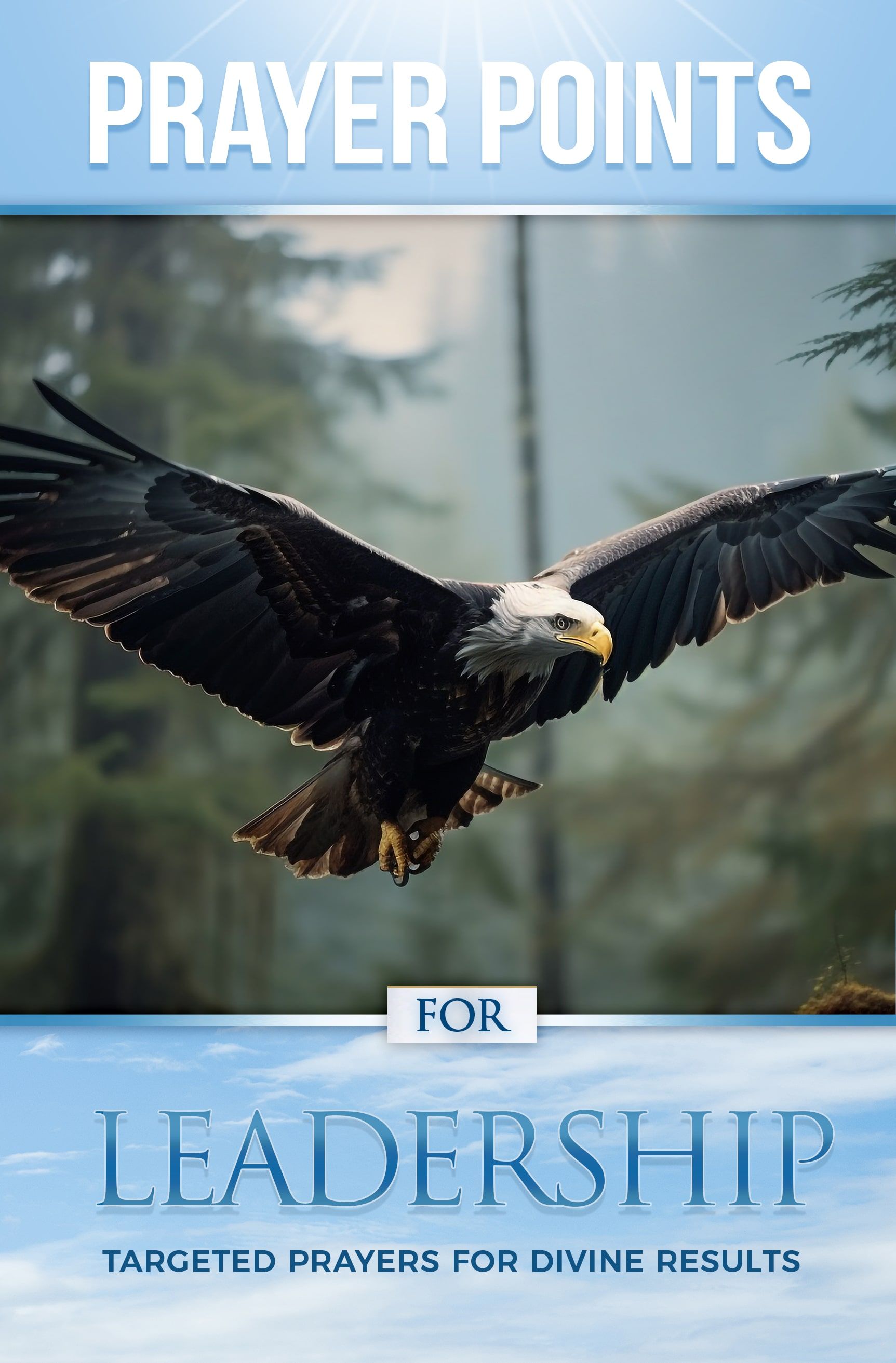 Prayer Points for Leadership