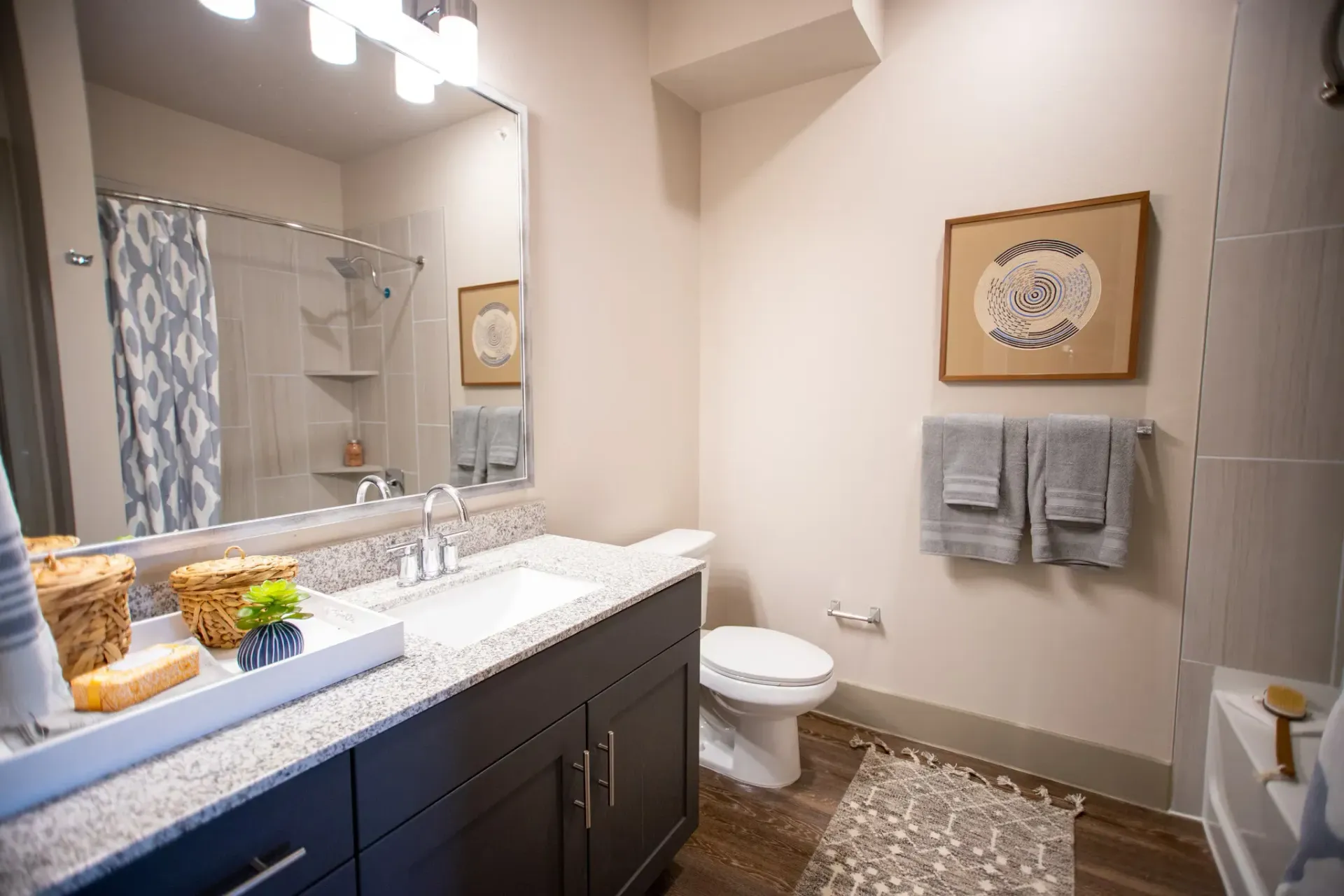Modern bathroom with a double-sink granite vanity, shower, toilet, and wall art.