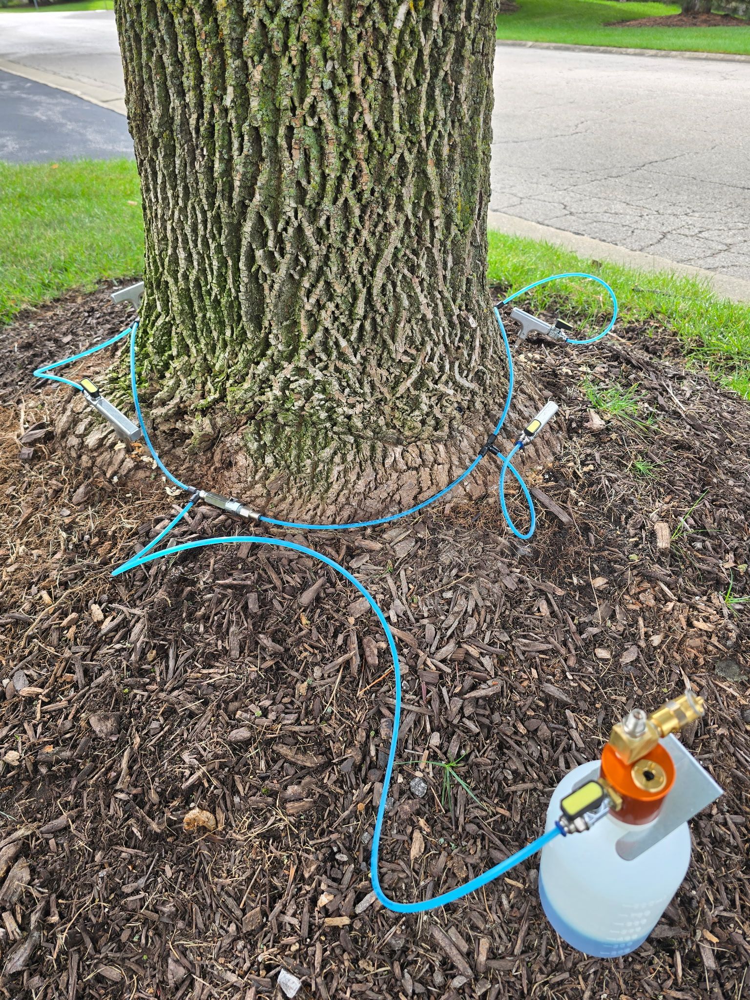 Tree trunk injection system delivering plant health care treatment at base of tree