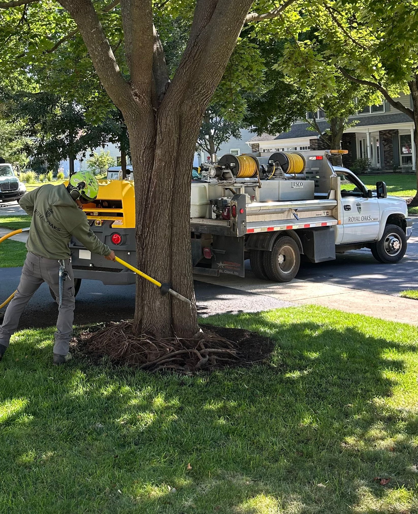 Air spading tree roots to improve soil health and support long-term tree vitality.
