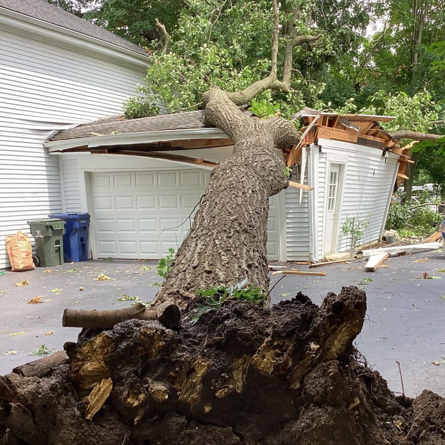 Storm-damaged tree fallen on garage roof causing structural damage at residential property.