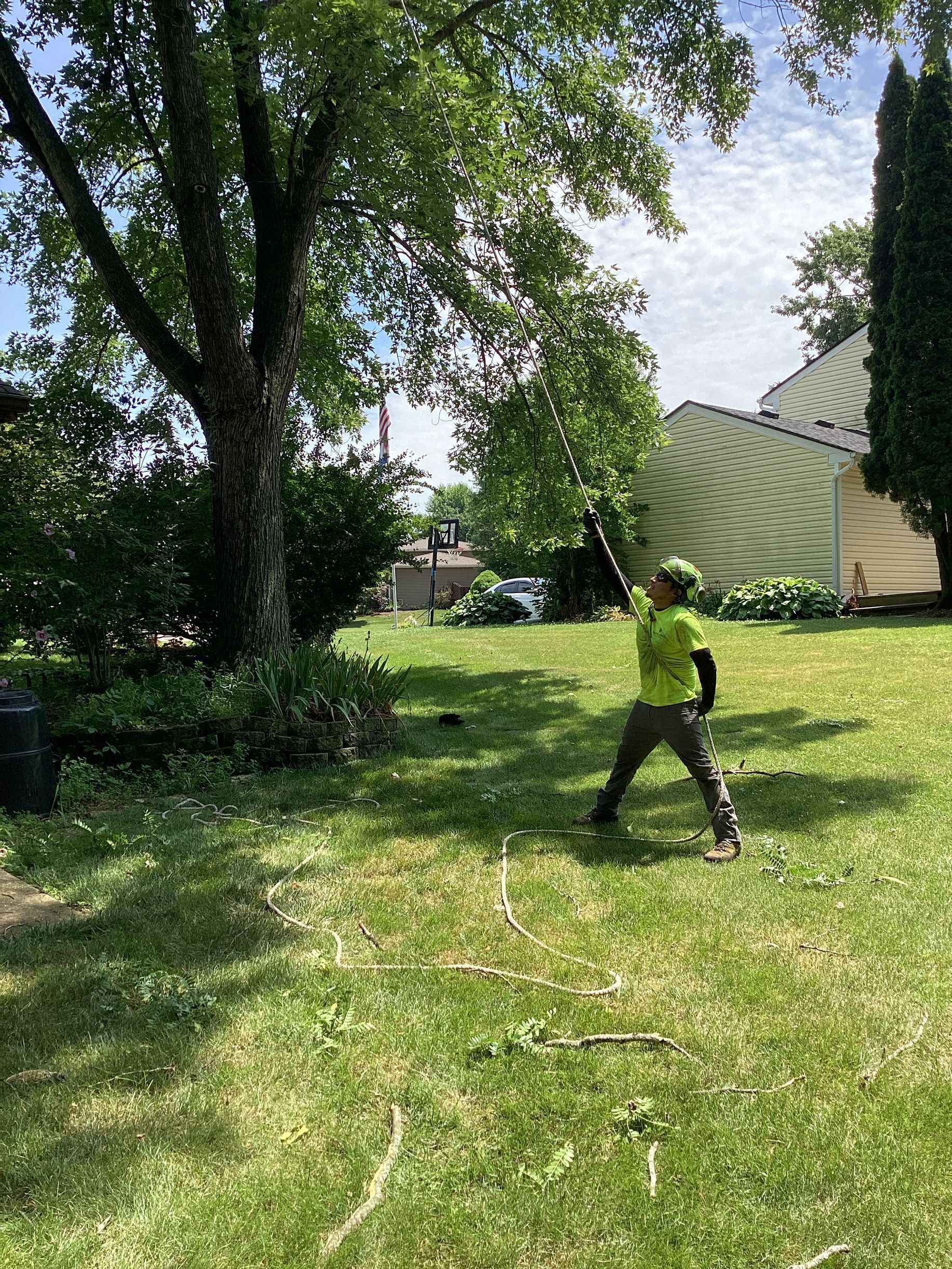 Man trimming a tree with a pole saw in a sunny yard with a house in the background.
