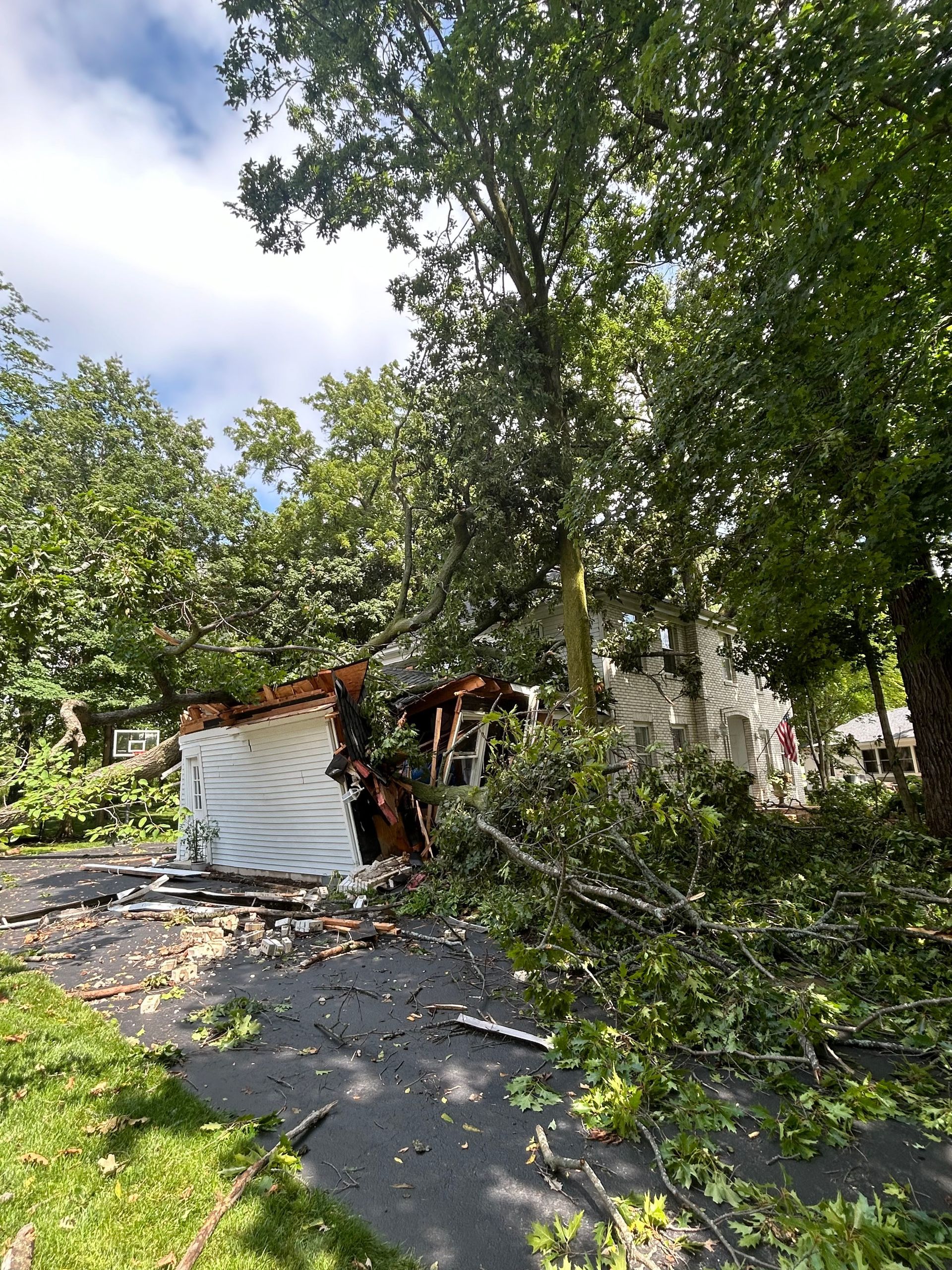 Tree fallen on house, damage to roof and siding. Debris on driveway, green trees and grass.