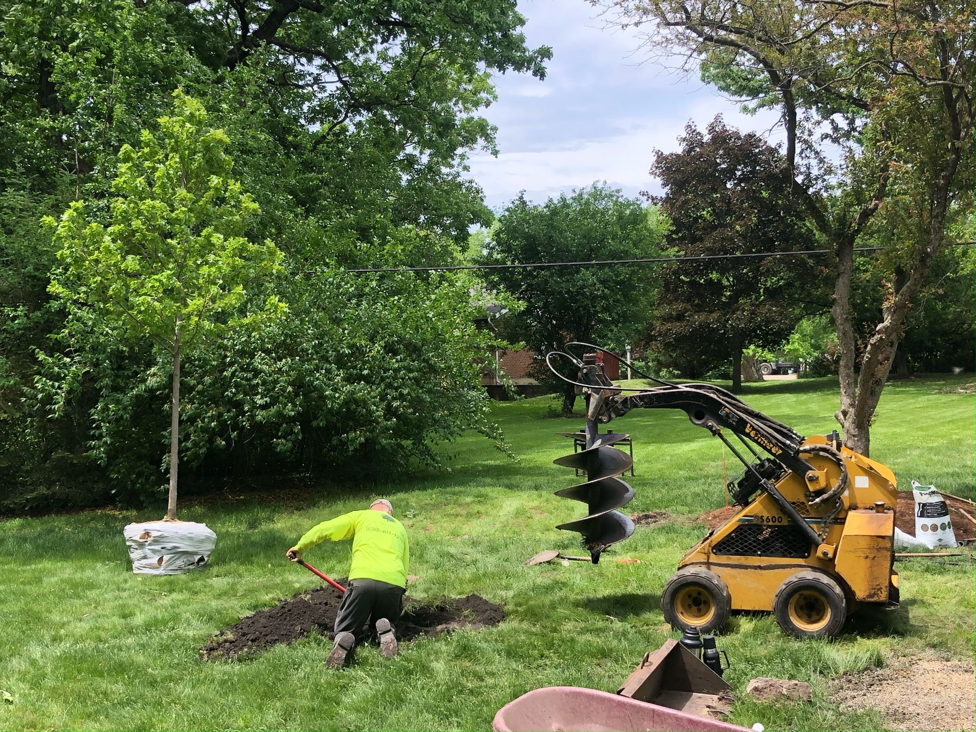 Certified arborists planting large shade tree with auger equipment in residential landscape project