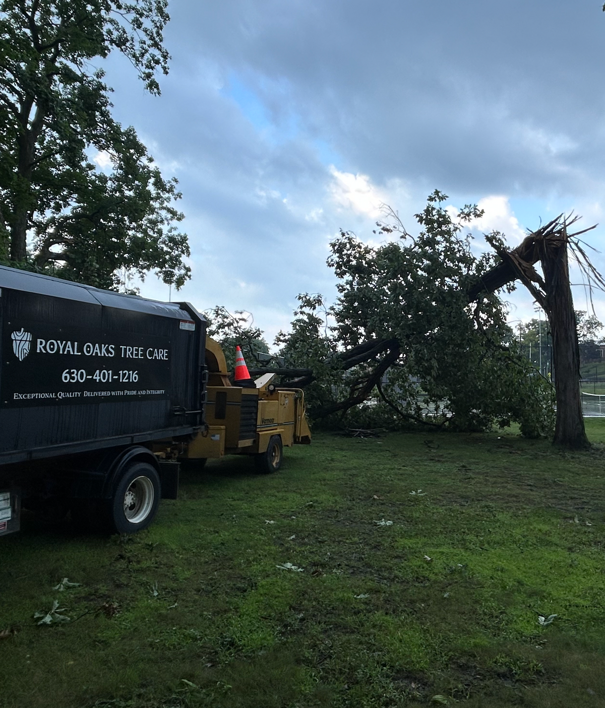 A Royal Oaks Tree Service truck parked on a lawn next to a large tree with a broken, fallen branch.