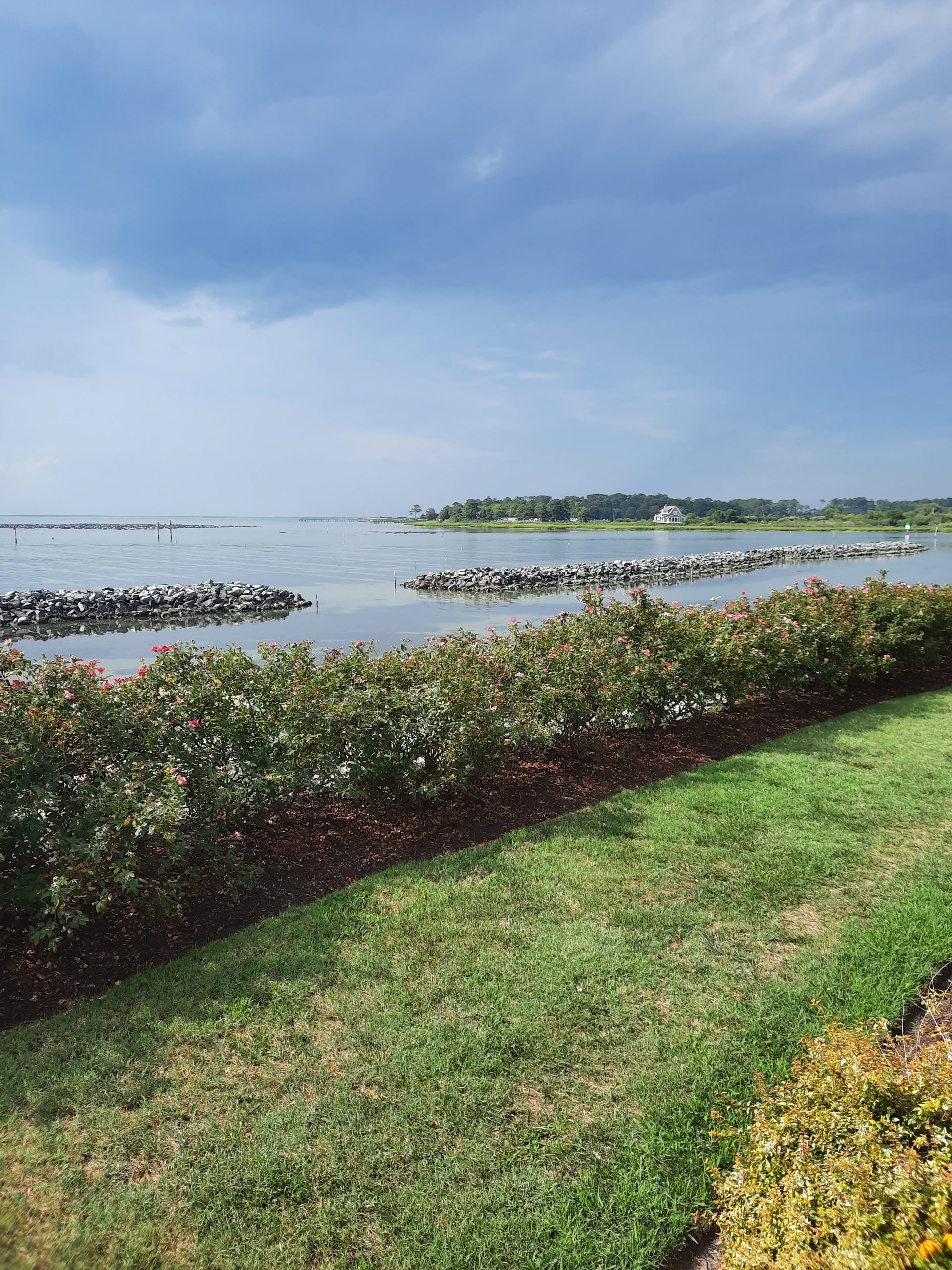 Ocean view in Cape Charles, VA