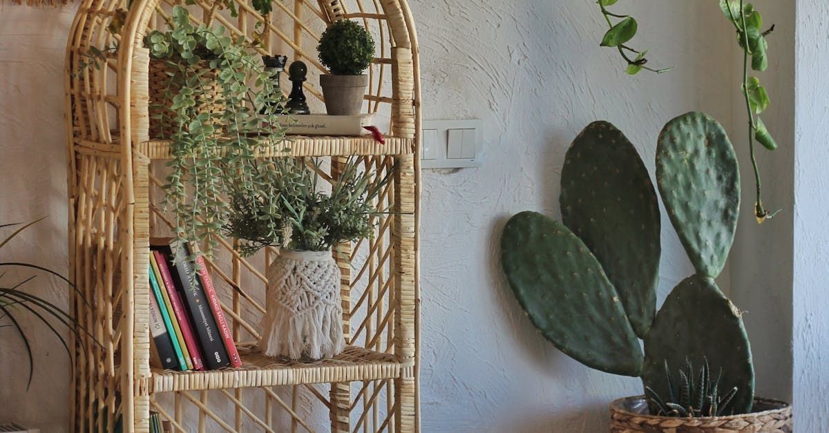 Rattan bookshelf creates earthy quality in Virginia Beach VA