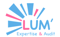 lum-expertise-audit