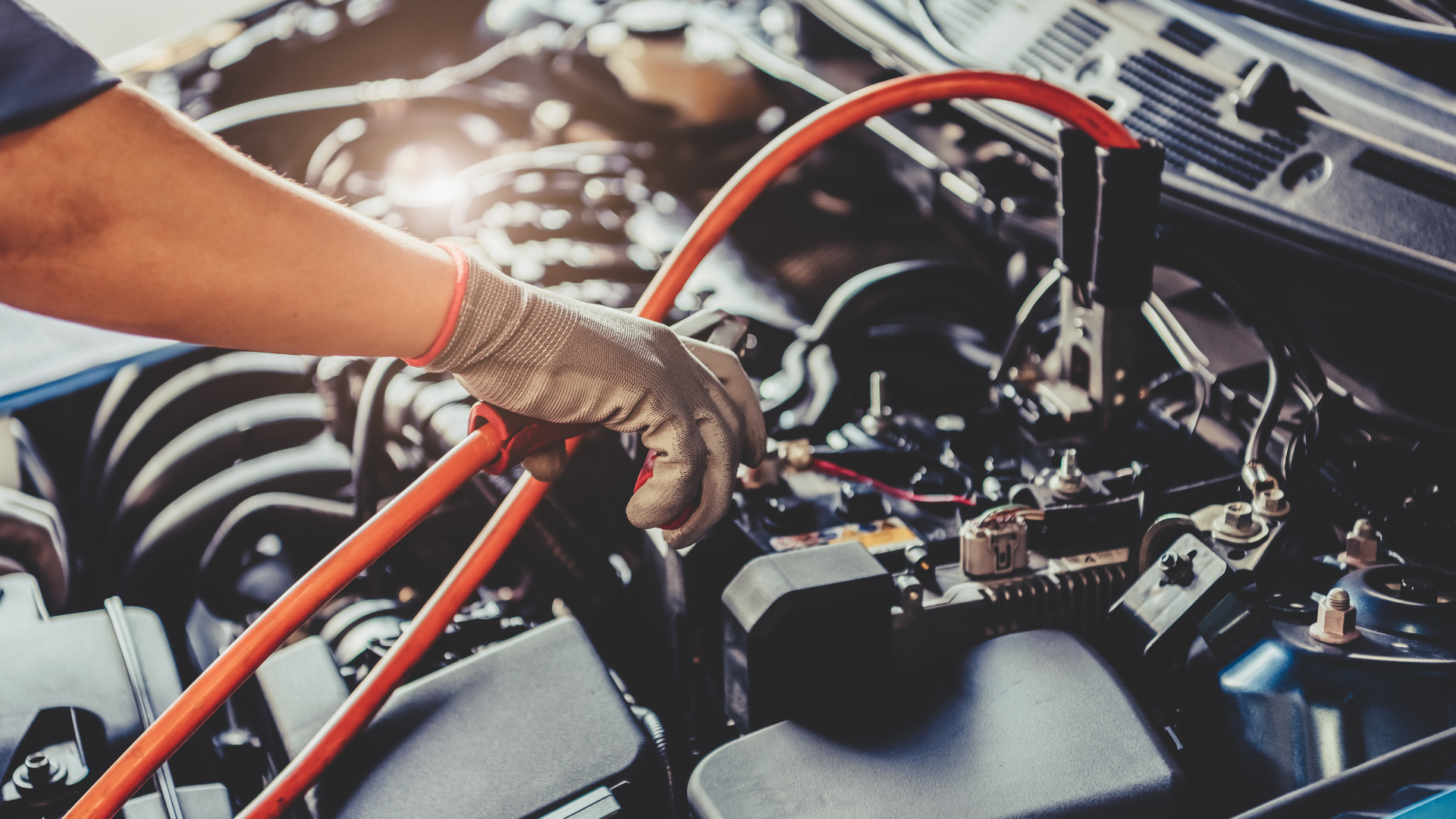 mechanic Carrara