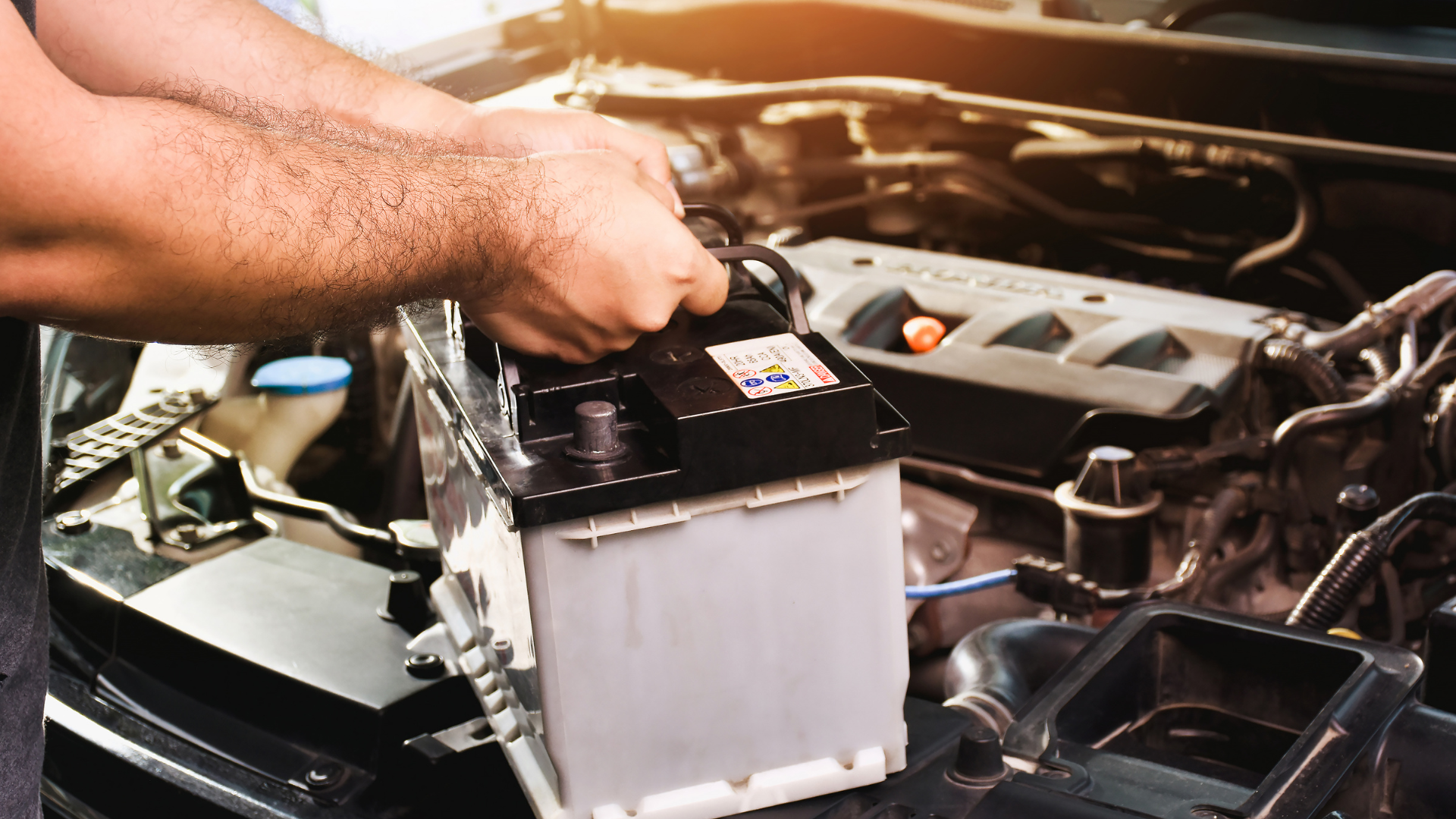 battery replacement Carrara