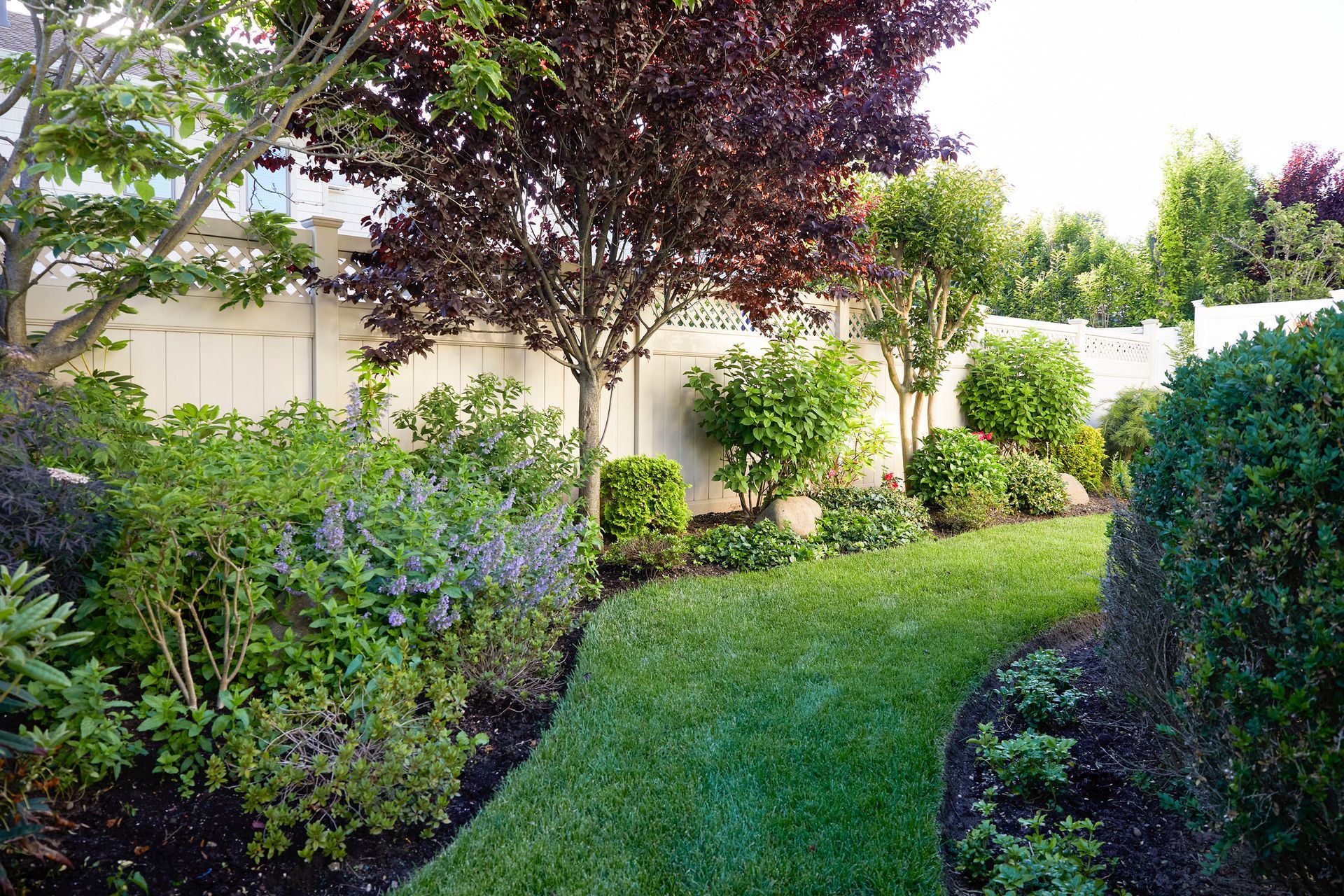 A backyard filled with lots of trees and bushes and a white fence.