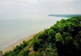 Aerial view of a green coastal cliff beside a sandy shoreline and calm water