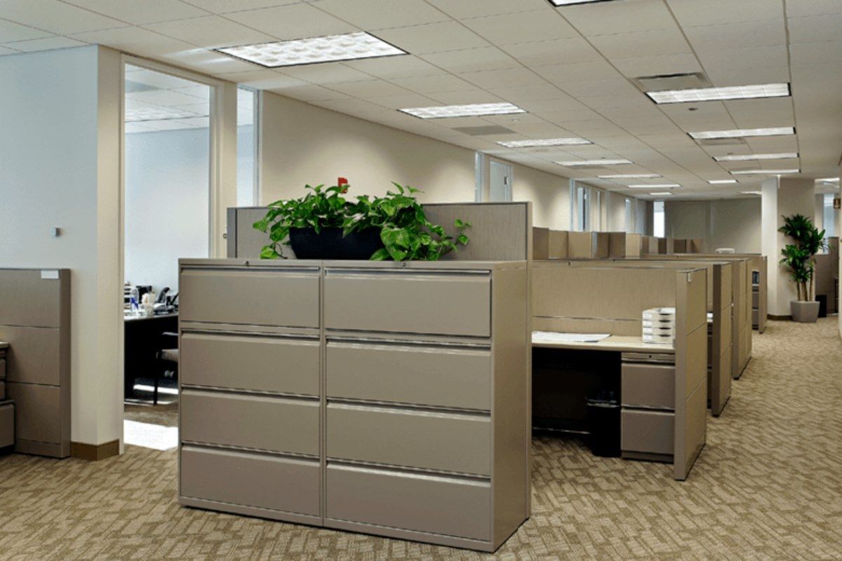 a cubicle in an office with a plant on top of it
