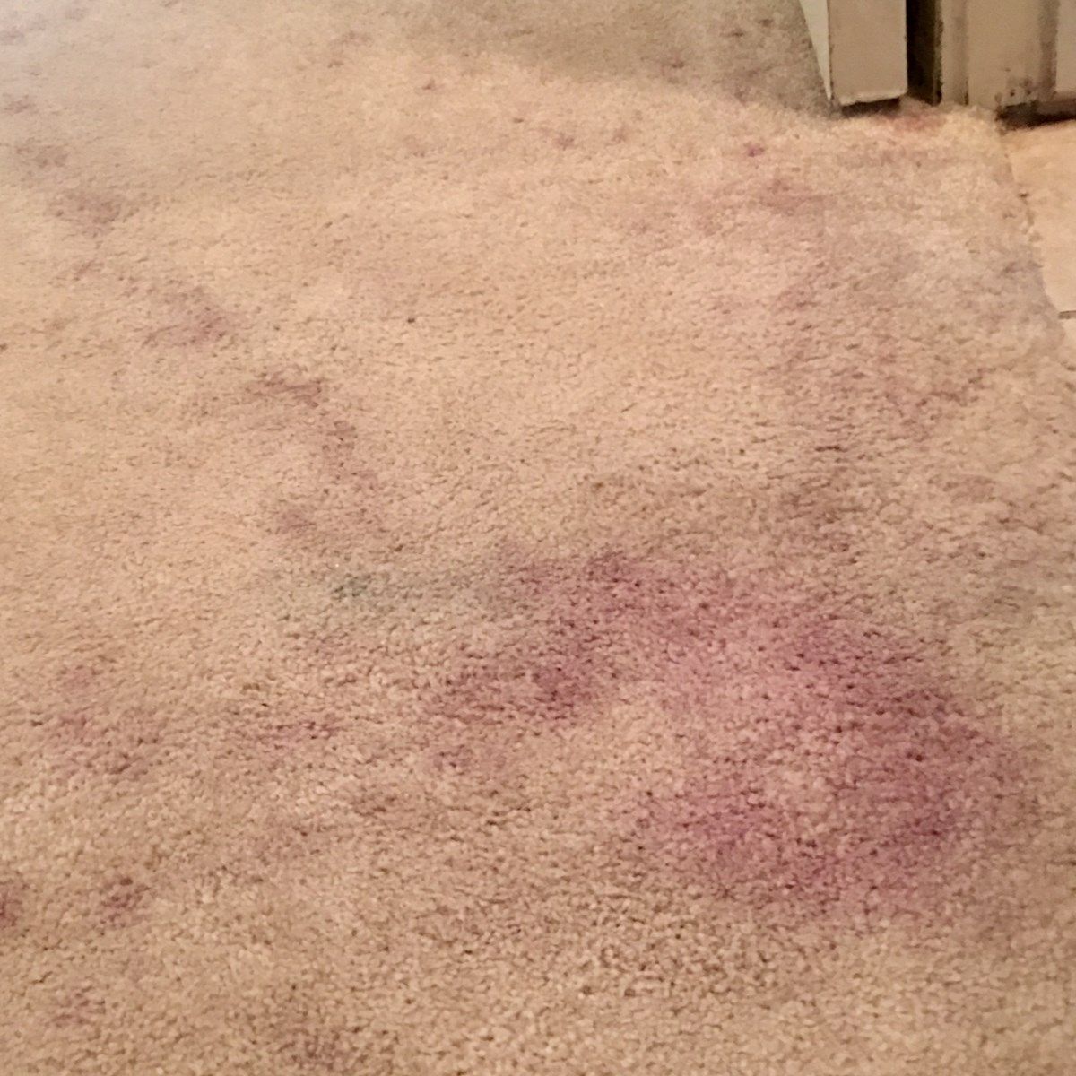 a close up of a carpet with a stain on it .