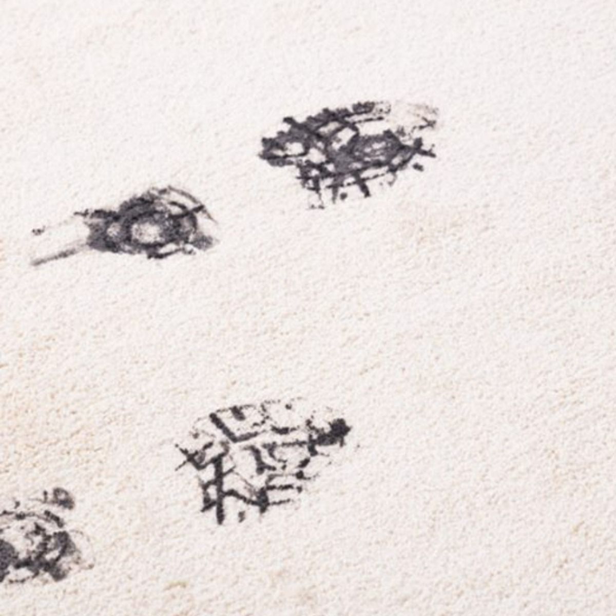 a close up of some footprints in the sand