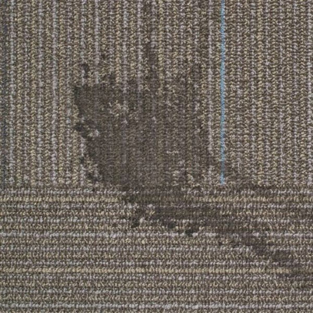 Heavily stained commercial carpet tile before professional carpet cleaning